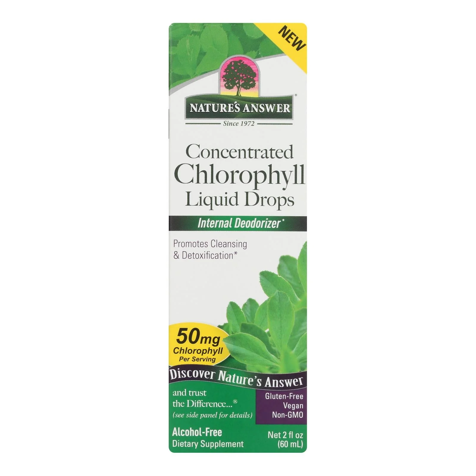 Nature's Answer - Conc Drop Chlrphyl Liquid - 1 Each-2 Fluid Ounce
