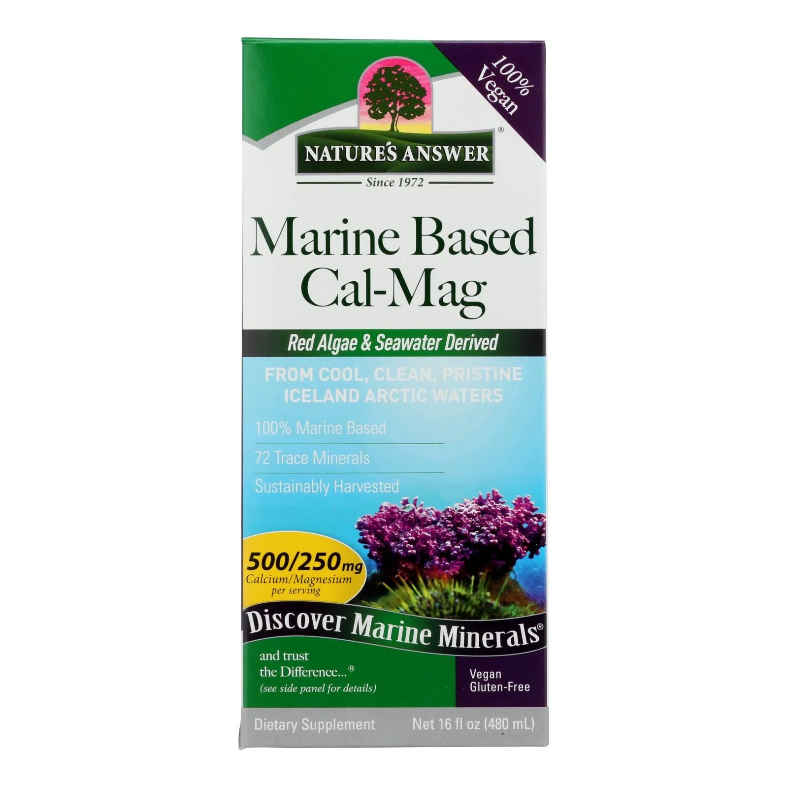 Nature's Answer Plant Based Calcium-Magnesium Liquid - 1 Each - 16 Fluid Ounce