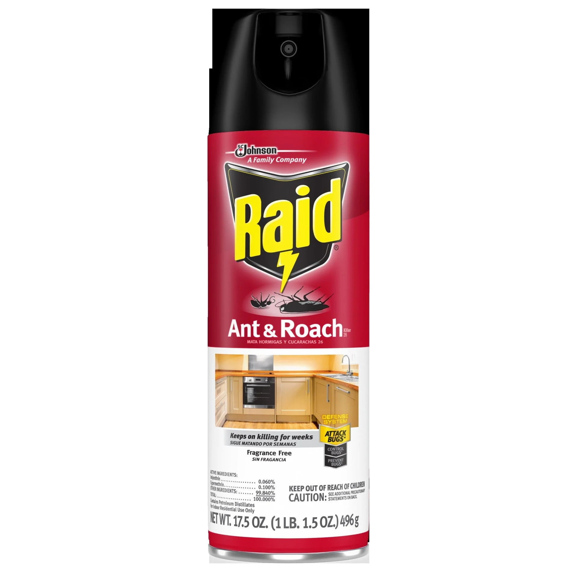 Raid Ant&Roach Aerosol Fragrance Free 12 - 17.5 Oz