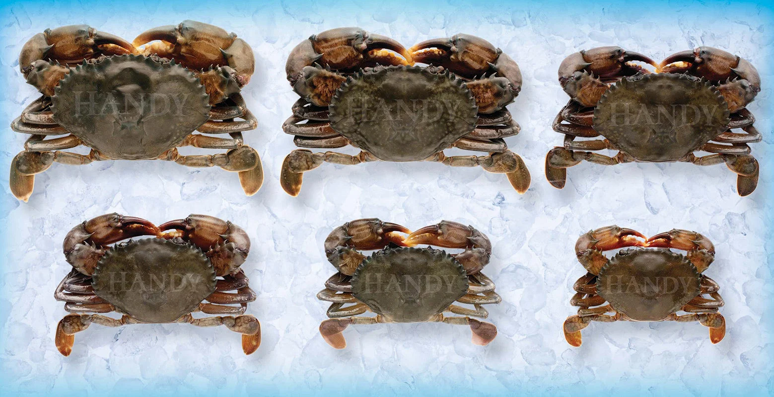 Frozen Hotel Soft Shell Crabs Imported Crabs Per Case 18 Each - 4 Per Case