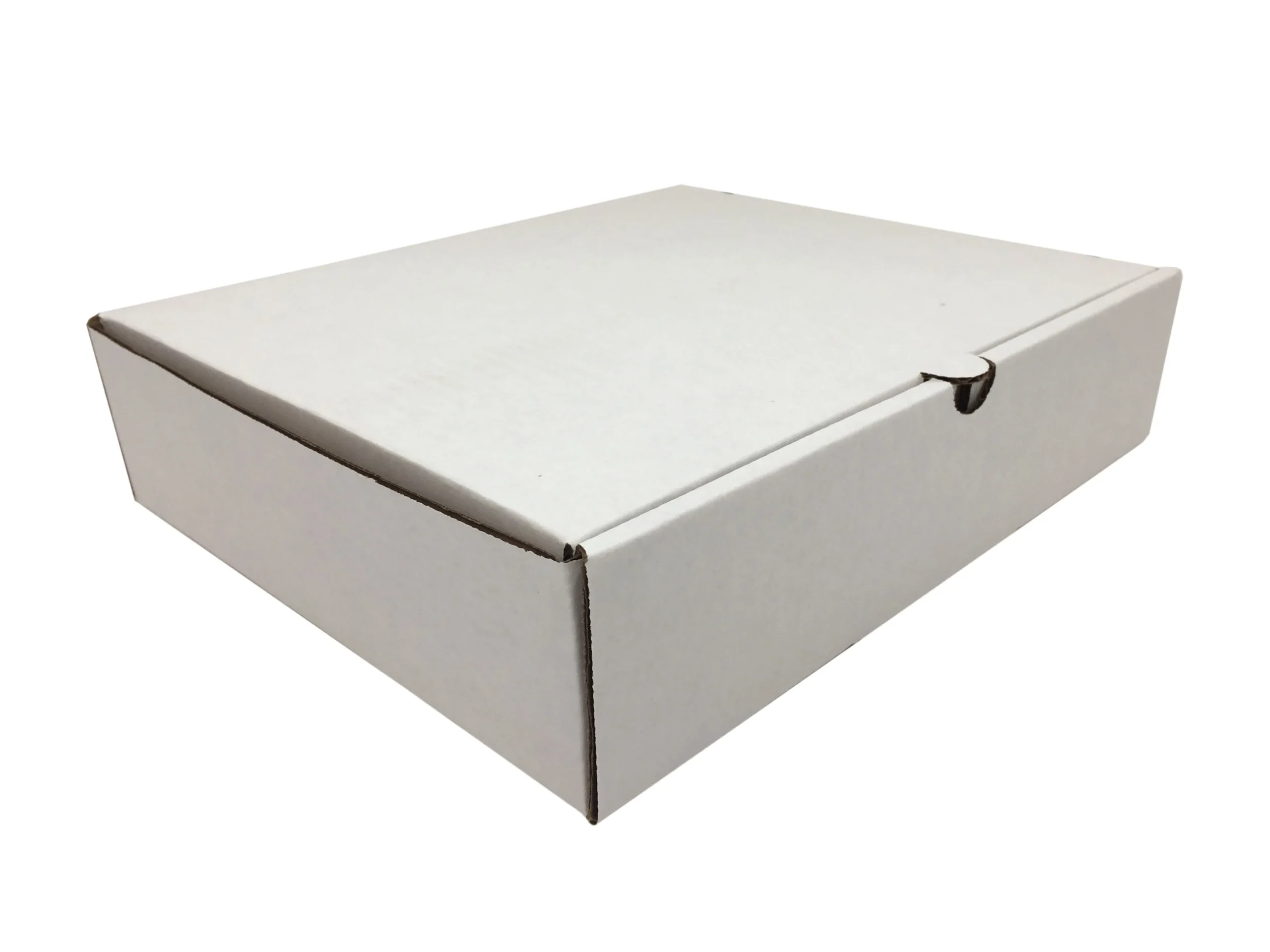 Dough Sheets 9 Inch 1 Inch Frozen S) 12 Ounce Size - 24 Per Case.