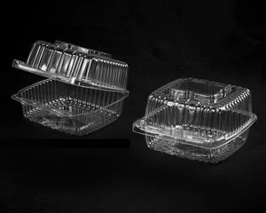 5" Square Deep Plastic Container