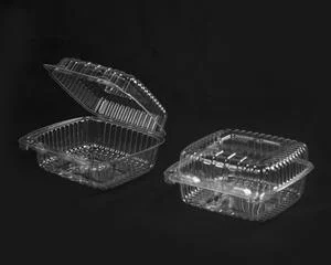 5 Inch Square Shallow Plastic Container 500 Each - 1 Per Case.