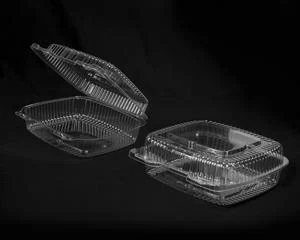 9" Square Shallow Plastic Container