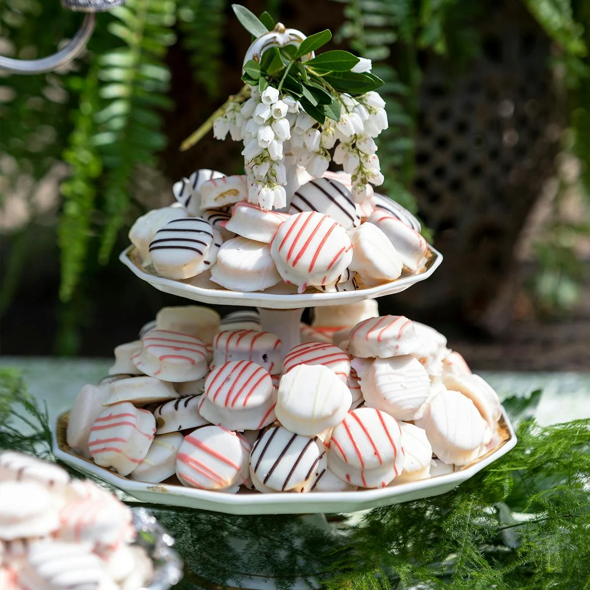 Assorted Cake Bites - 48 Pack