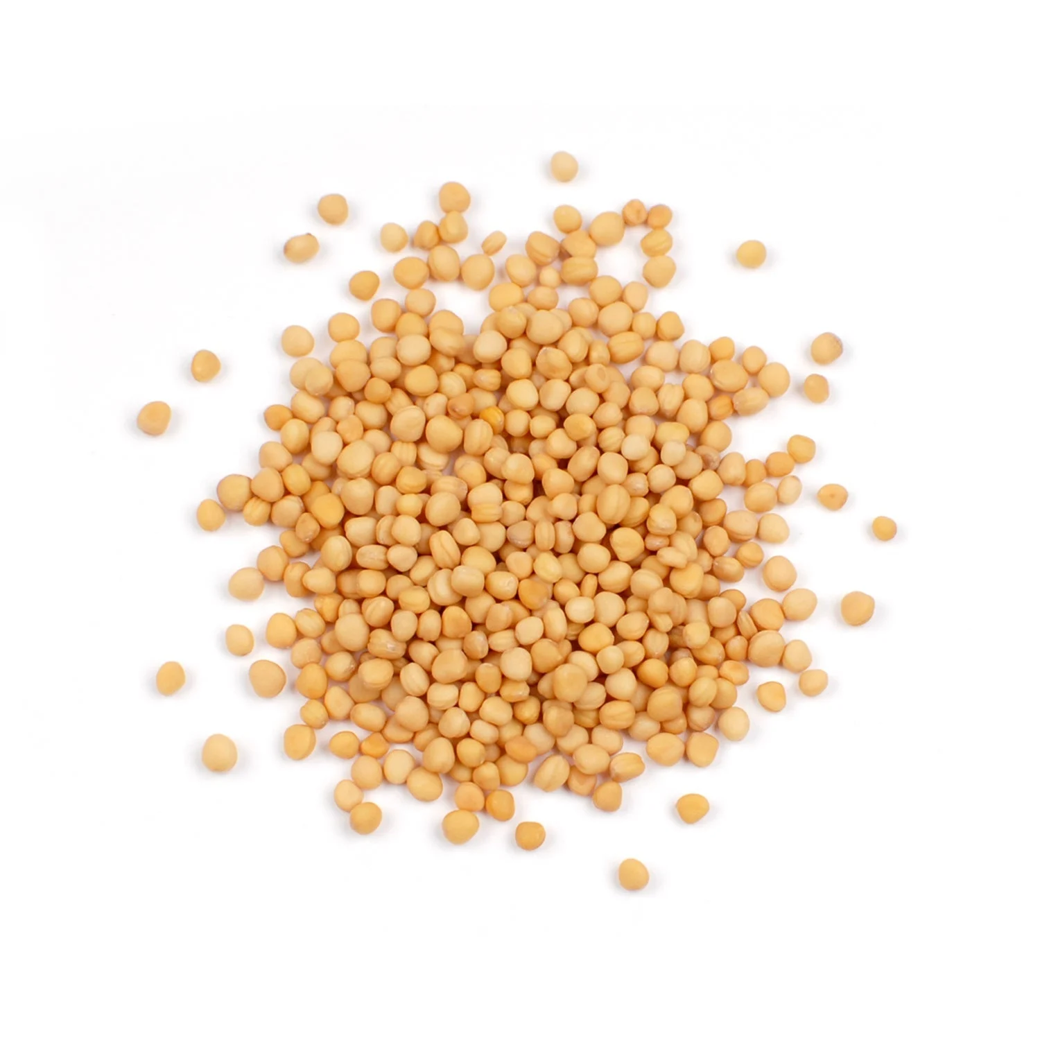 Spice, Mustard Seed, Whole, Yellow,1 - 24 OUNCE