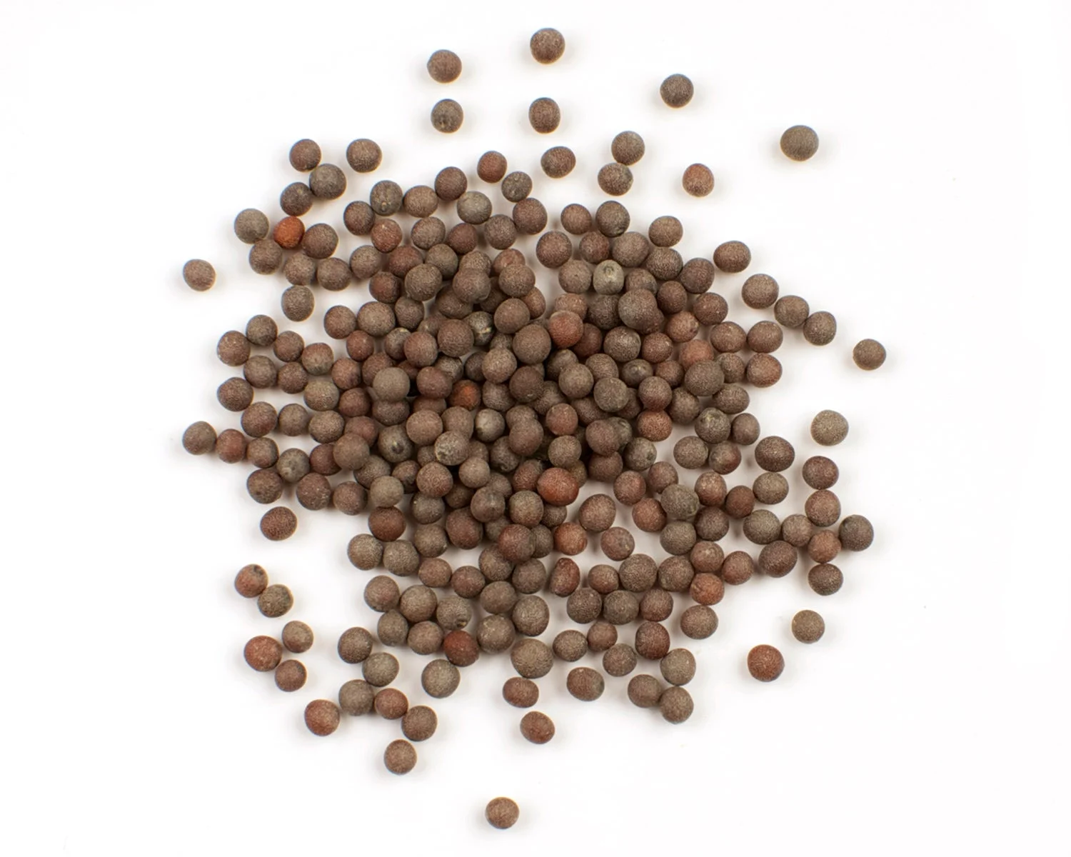 Spice, Mustard Seed, Brown,6 - 20 OUNCE
