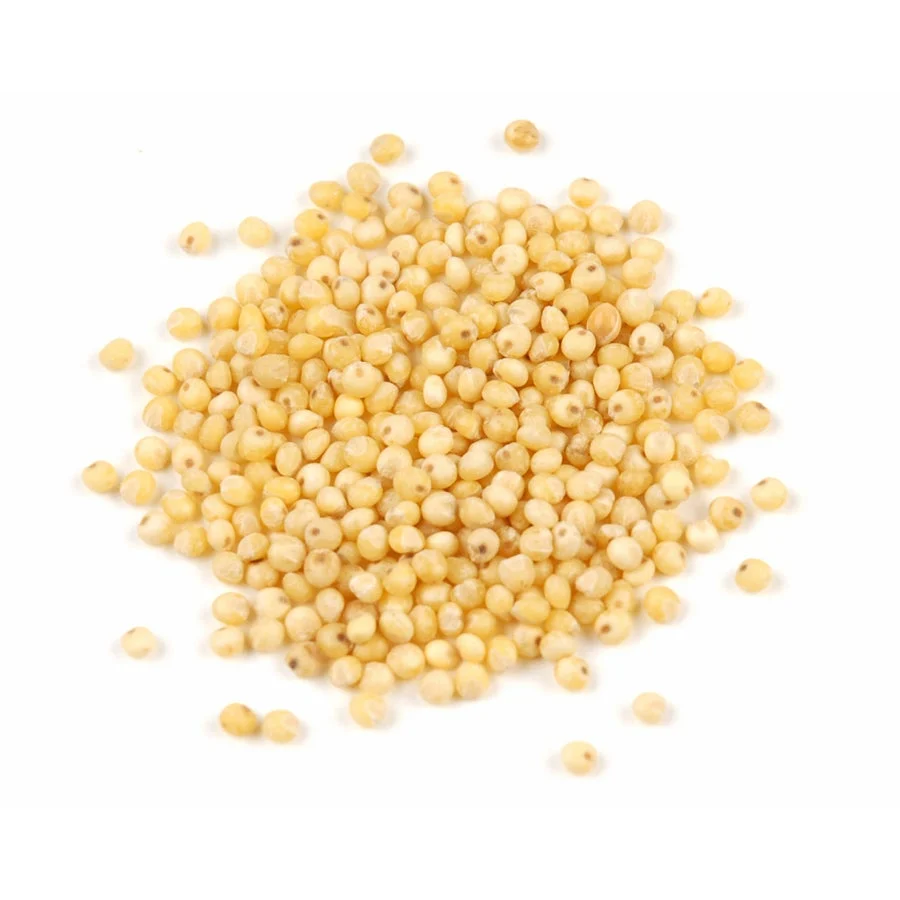 Millet Seeds,1 - 25 POUND