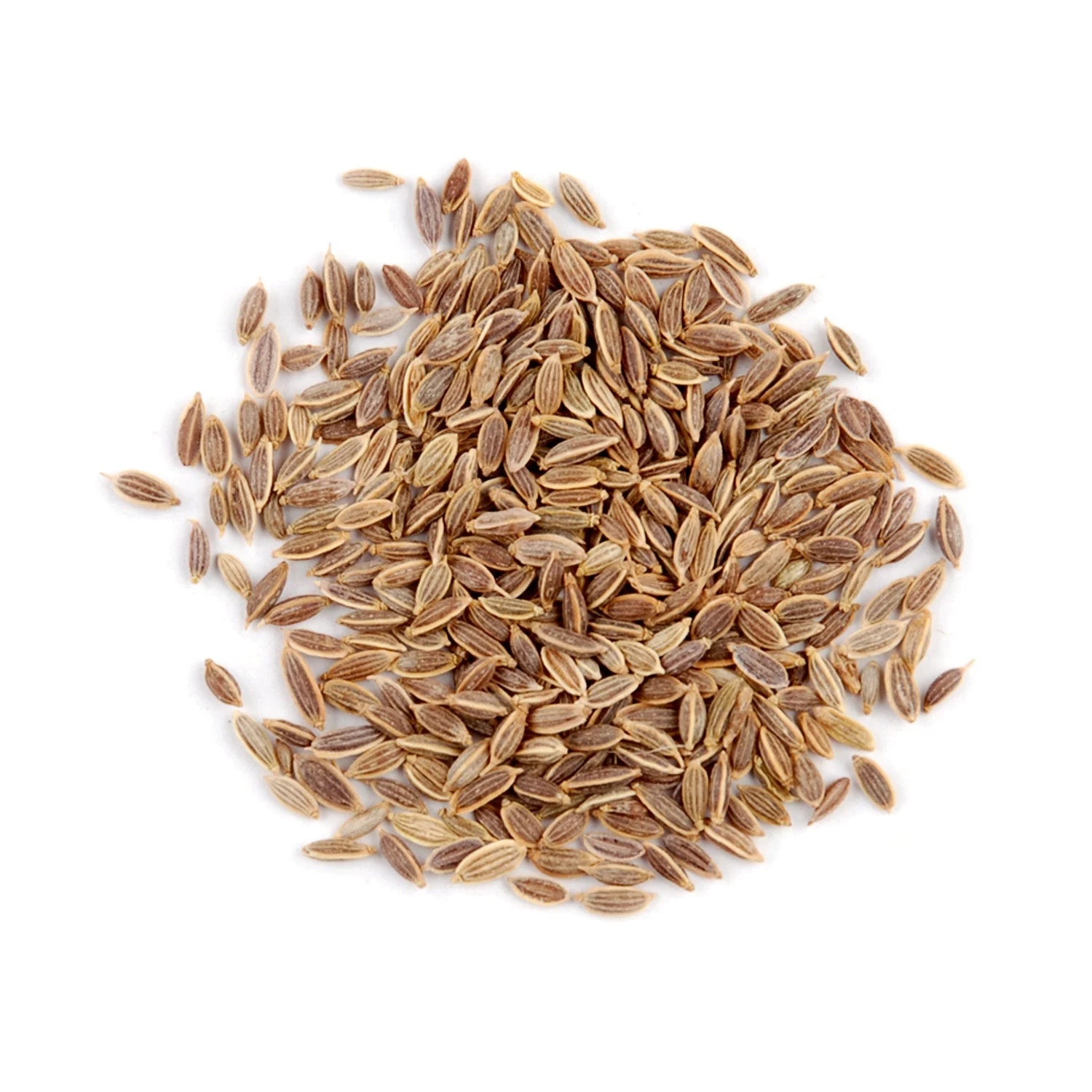 Spice, Dill Seed, Indian,6 - 14 OUNCE