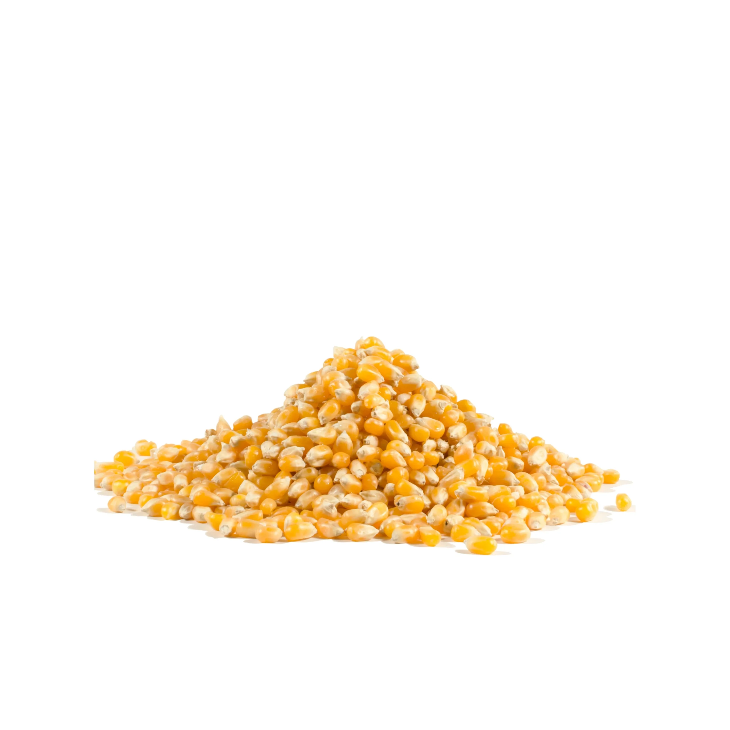Popcorn Kernels, Yellow,4 - 30 OUNCE