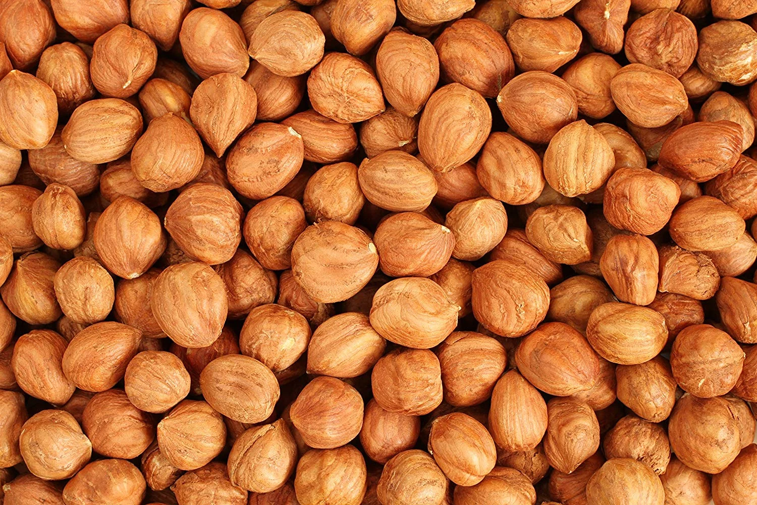 Hazelnuts, Raw, Shelled,6 - 2.2 POUND