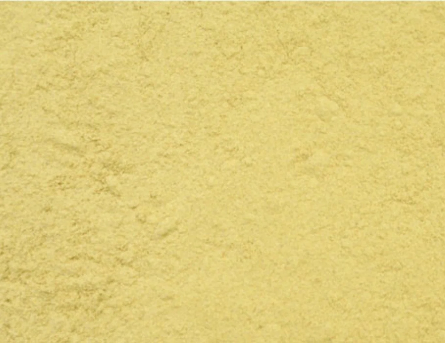 Flour, Amaranth, Bulk,6 - 2.2 POUND
