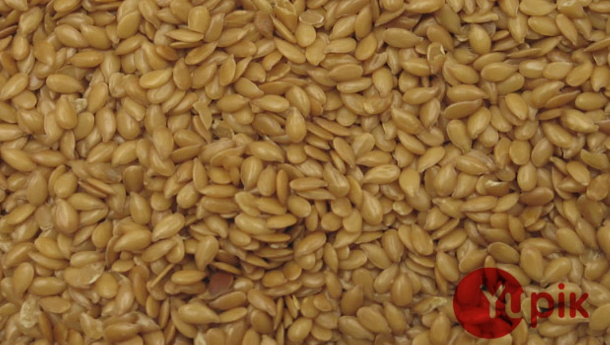 Seeds, Flax, Golden,6 - 2.2 POUND