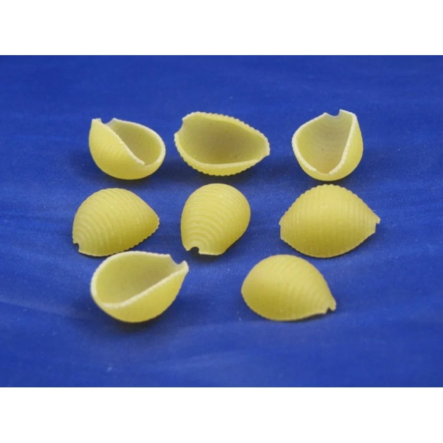 Pasta, Shells, Medium,2 - 10 POUND