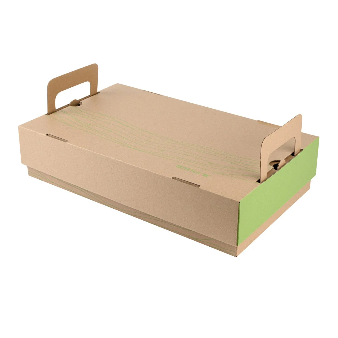 Trays, Cater, 20 x 11.8 Inch, Paper, Kraft & Green, with Lid & Handles,1 - 10 COUNT