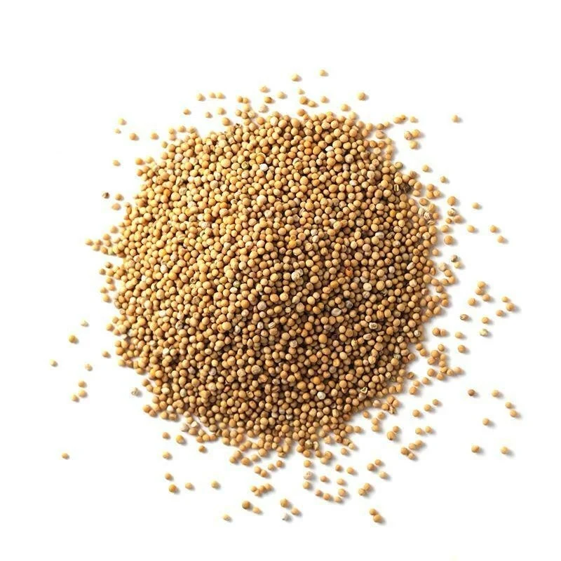 Spice, Mustard, Whole, Yellow,1 - 24 OUNCE