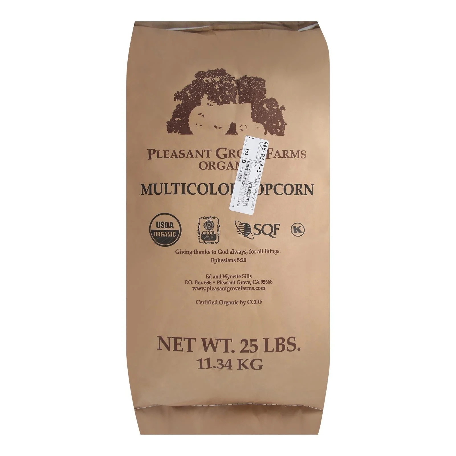 Popcorn Kernels, Multi-Color, Bulk,1 - 25 POUND
