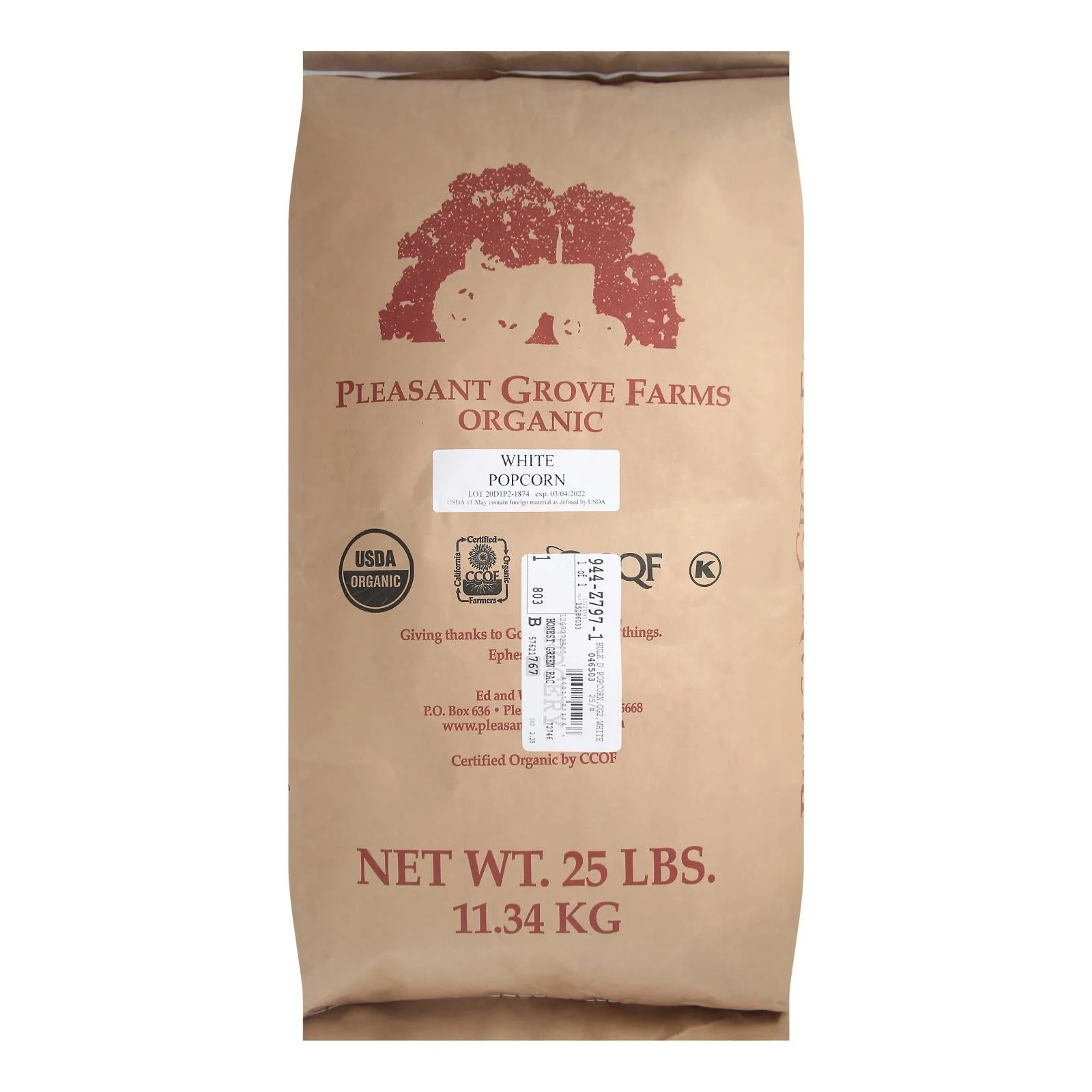 Popcorn Kernels, White, Bulk,1 - 25 POUND