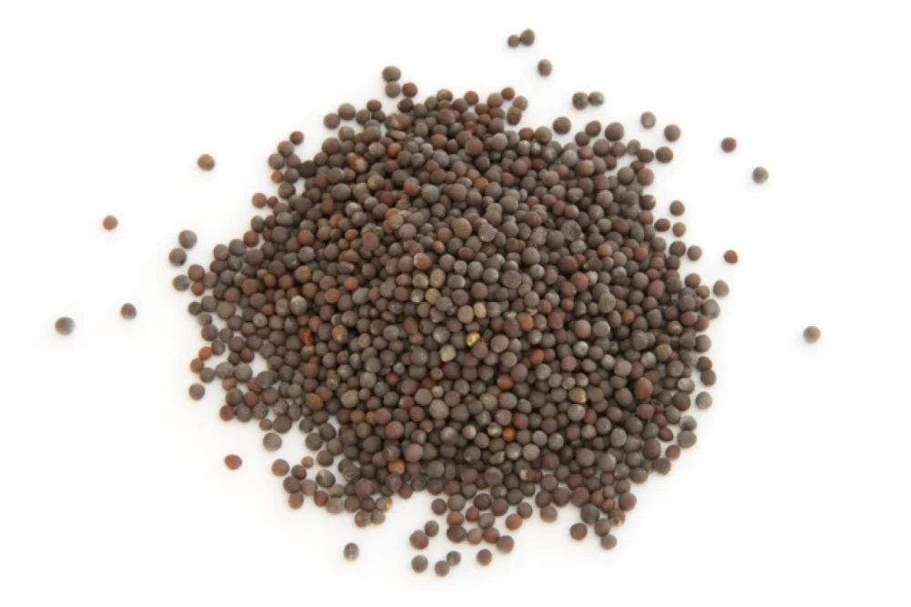 Spice, Mustard Seed, Whole, Brown,1 - 24 OUNCE