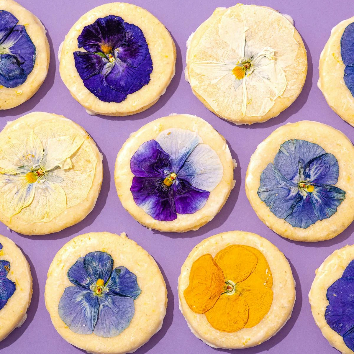Pressed Flower Shortbread Cookies - 10 Pack