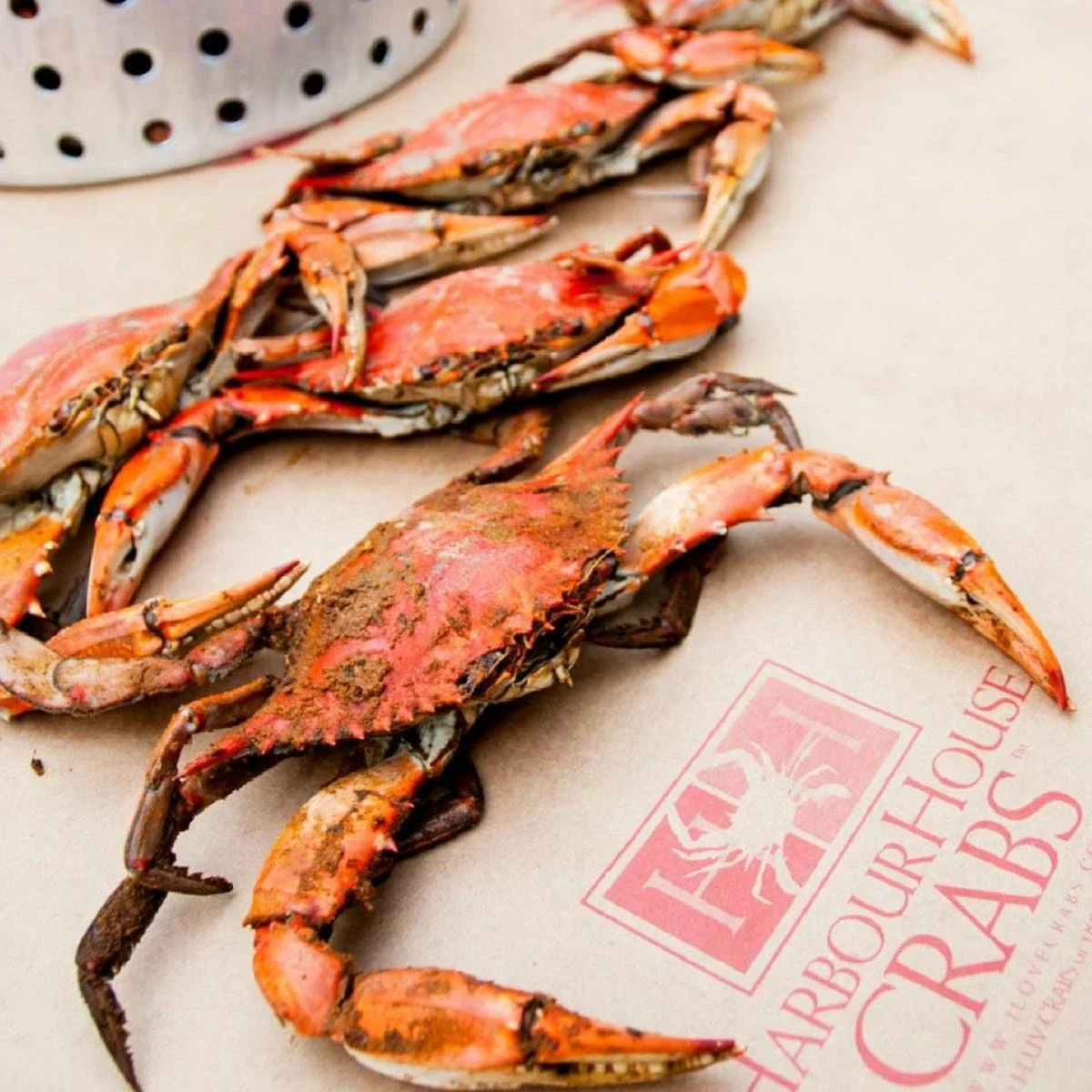 Maryland Steamed Crab Kit - Extra Large Premium Size