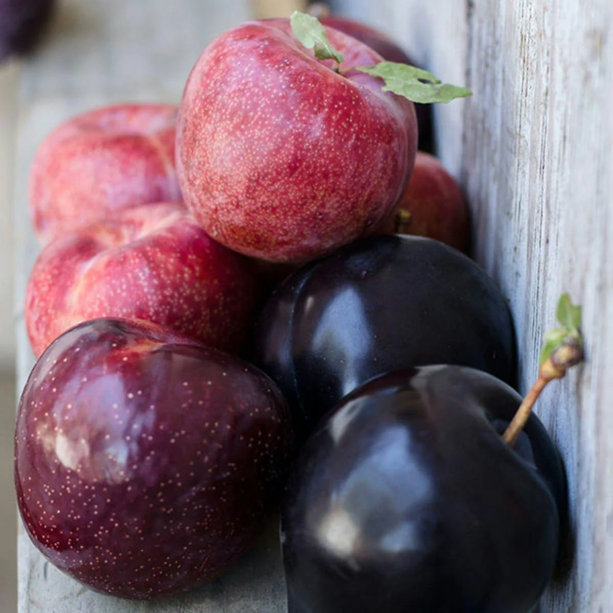 Organic Pluots