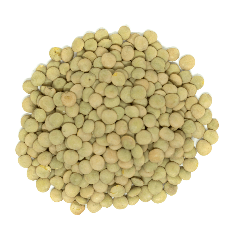 Sanniti Green Lentils, 10 Lbs