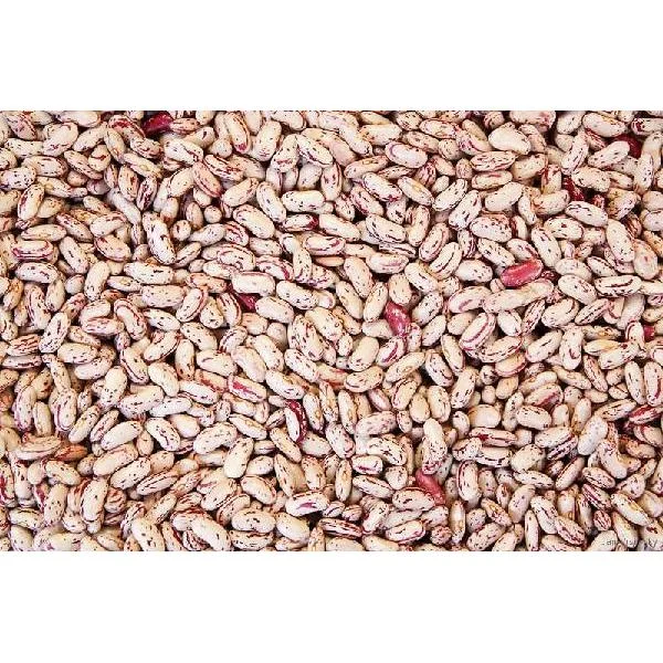 Commodity Beans Triple Clean Pinto Bean 1-25 Pound 1-25 Pound