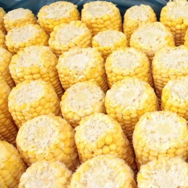 Commodity Corn Cob 5 Inch  48 Count Packs - 1 Per Case.